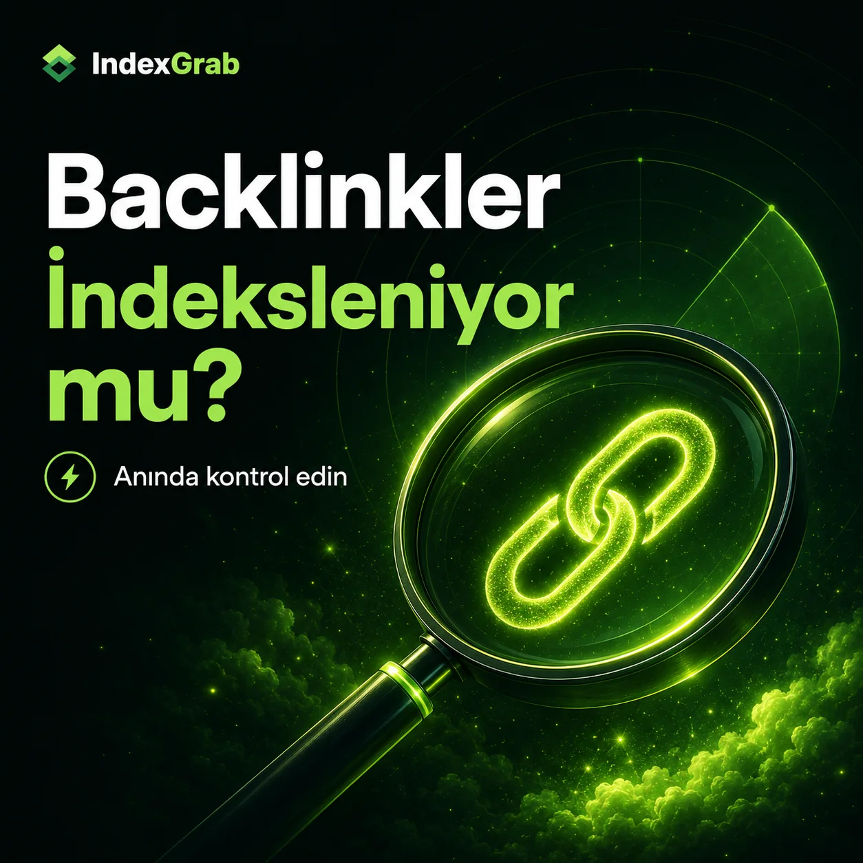 Backlink indeks kontrolü ve sonuçların doğru yorumlanması