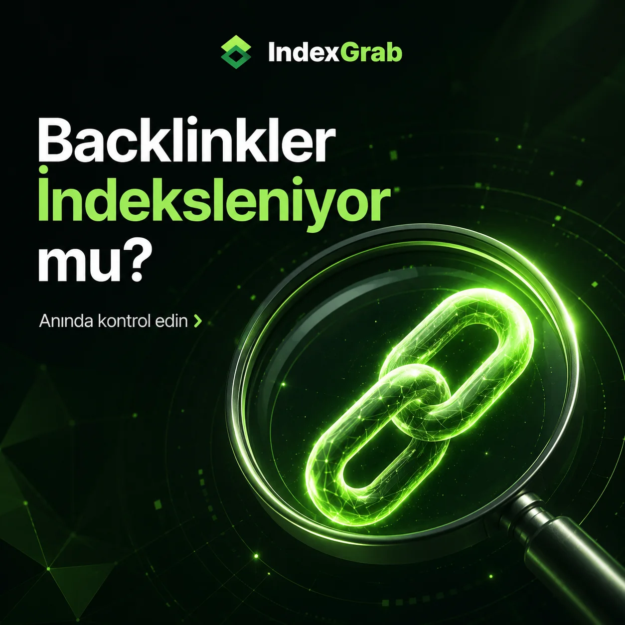 Backlink sonuçlarının ayrı kanıt durumlarıyla takibi